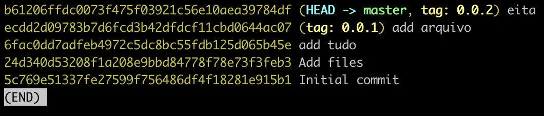 Imagem do retorno do comando git log --pretty=oneline